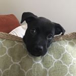 Profile Picture of Matthew Jon (@orphan_stranger) on Instagram