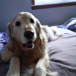 Profile Picture of Jeff Stack (@Jeff-Stack) on Facebook