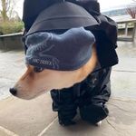 Profile Picture of Alex Perea (@upwardfist) on Instagram