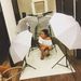 Profile Picture of Lily Arevalo (@davidarevalo806) on Pinterest
