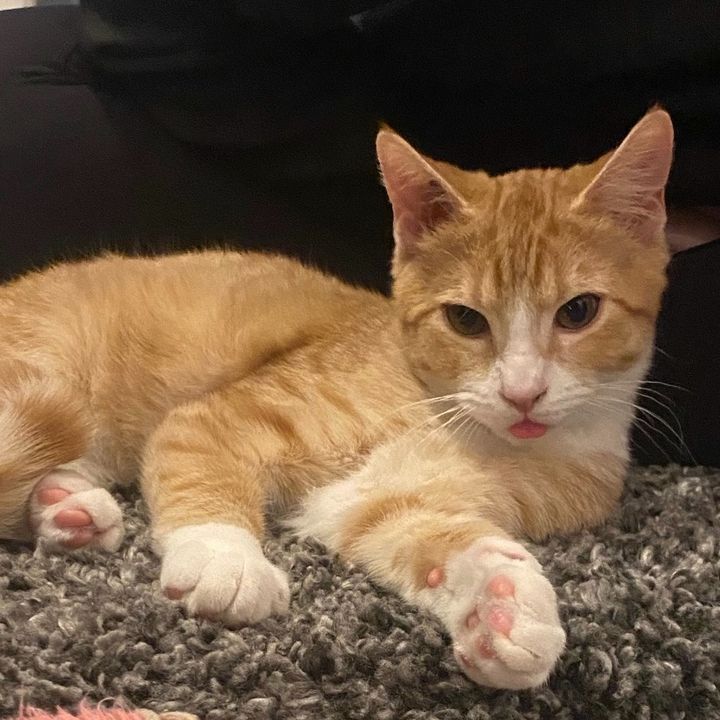 Profile Picture of Stuart (@stuarts_world_2.0) on Tiktok