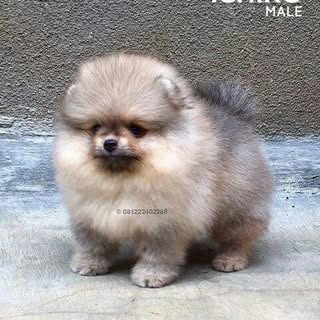 Profile Picture of Upinder Grewal (@grewal.upinder) on Instagram