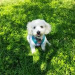 Profile Picture of AMELIA BELÉN YATRA💕 (@amelia.zeus) on Instagram