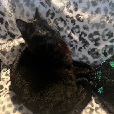 Profile Picture of Justine Ritter (@ComradeWitchery) on Twitter