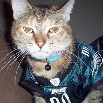 Profile Picture of Daniel Apgar (@bazingad) on Twitter