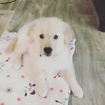 Profile Picture of Joshua Belitz (@joshua.belitz.3) on Facebook