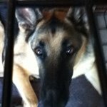 jonathangurley089 - Instagram Profile Picture of jonathangurley089 (@jonathangurley089) on Instagram