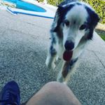 Profile Picture of Marc Lambert (@marc_lambe4t) on Instagram