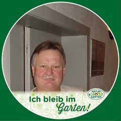 Profile Picture of Micha (@michaelblthgen) on Tiktok