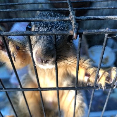 Profile Picture of Michael Galaviz (@MichaelGalaviz3) on Twitter