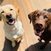 Piper Ackner - Youtube Profile Picture of Piper Ackner (@piperackner615) on Youtube