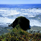 Profile Picture of Joey Neil (@jntreeguy35) on Youtube