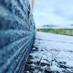 Profile Picture of Tyler Tailby (@tylertailby) on Instagram