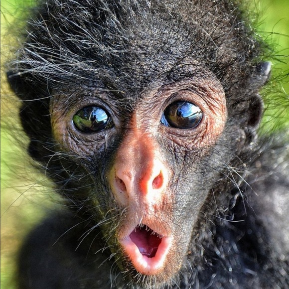 Profile Picture of Haylee Allen (@hayleeallen08) on Poshmark