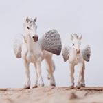 Welcome to Amberstown🍂 - Instagram Profile Picture of Welcome to Amberstown🍂 (@amberstown) on Instagram