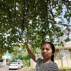 Profile Picture of Dayan Ango Carlon (@dayangondolaango) on Facebook