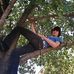 Profile Picture of Matthew Murry (@matthew.murry.96) on Facebook