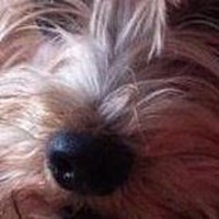 Profile Picture of Corrine Pine (@corrine-pine) on Quora