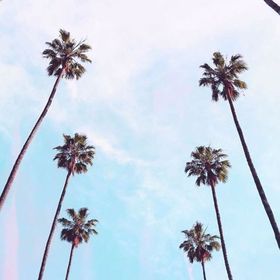 Profile Picture of ❈ 𝓀𝒶𝓎𝓁𝒶❈ (@kaylarhoadarmer13) on Pinterest