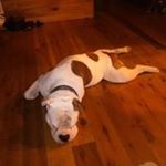 Profile Picture of Tonya Lemaster (@tlemaster71) on Instagram