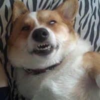 Profile Picture of George Barone (@george-barone-1) on Quora