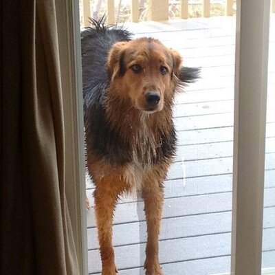 Profile Picture of Steven Trzcinski (@ToGoFar) on Twitter