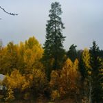 Profile Picture of David Kroeker (@davidkroeker01) on Instagram