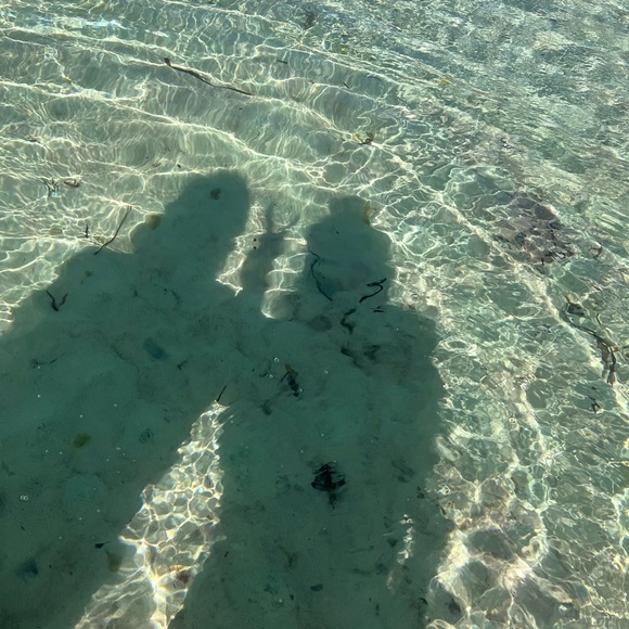 Profile Picture of Hallie Broadley (@halliebroadley) on Poshmark