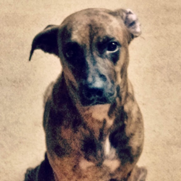 Profile Picture of Carl Hall (@lexs01033) on Poshmark