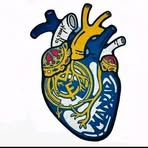 Profile Picture of Chris Starck (@Chris-Starck) on Facebook