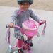 Profile Picture of Paula Place (@mrshobber) on Pinterest