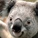 Profile Picture of Jonathan DeSantis (@desantis3109) on Pinterest