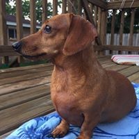 Profile Picture of Beverly Collier (@beverly-collier-2) on Quora