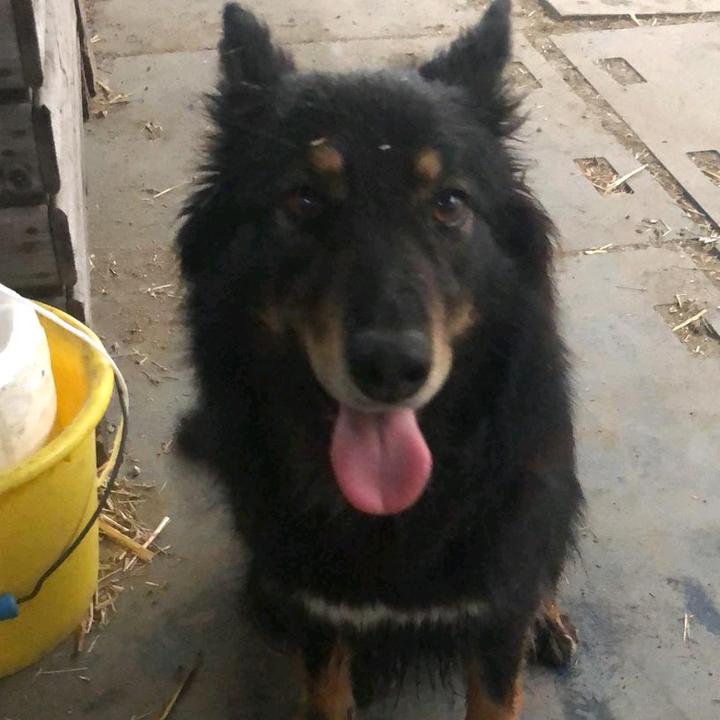Profile Picture of benreimer (@@juniorbanjou) on Tiktok