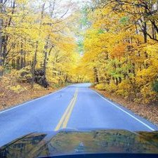 Profile Picture of Paul Okafor (@bleugazza1759) on Twitter