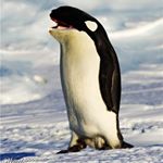 Lisa P - Instagram Profile Picture of Lisa P (@lisaplassery) on Instagram