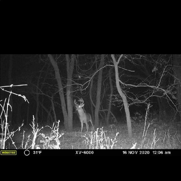 Profile Picture of Brandon Turnage (@turnage1992) on Poshmark