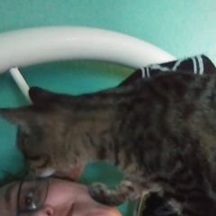 Profile Picture of Chris Lacomb (@geekwriter2020) on Tiktok