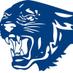 Profile Picture of Chassell Panthers (@chassellpride) on Twitter