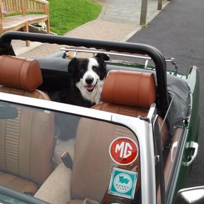 Profile Picture of Graham Stuart Heaton (@hammysmidget75) on Twitter