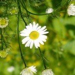 Howlett - Instagram Profile Picture of Howlett (@kennethxao80) on Instagram