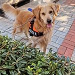 Profile Picture of Aynur Ateş (@aynurates1003) on Instagram