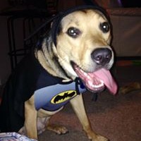 Profile Picture of Matt Vick (@matt-vick) on Quora