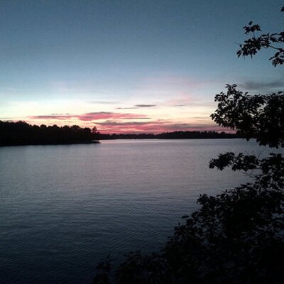 Profile Picture of Brad Paradis (@paradisbd) on Twitter