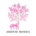 Profile Picture of Abhinav Mishra (@abhinavmishrapr) on Pinterest