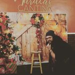 Profile Picture of paul noller (@paulnollerscomedy_cooking) on Instagram