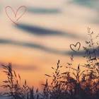 Profile Picture of   ♔ 𝗥𝗶𝗻𝗻𝗮 ♔(@rinna_4) |... (@rinna_4) on Tiktok