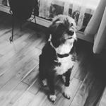 Etta Mae Wilson - Instagram Profile Picture of Etta Mae Wilson (@ettamae63) on Instagram