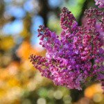 Profile Picture of Jodi (@jodibrindley8ms) on Instagram