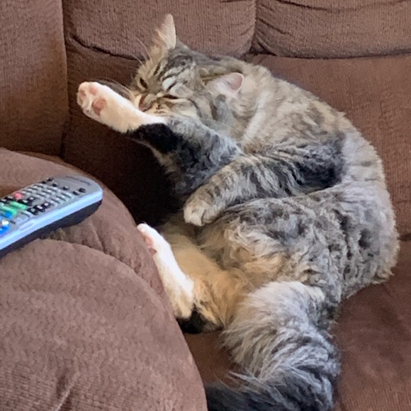 Profile Picture of Eileen Knouse (@eknouse09) on Poshmark